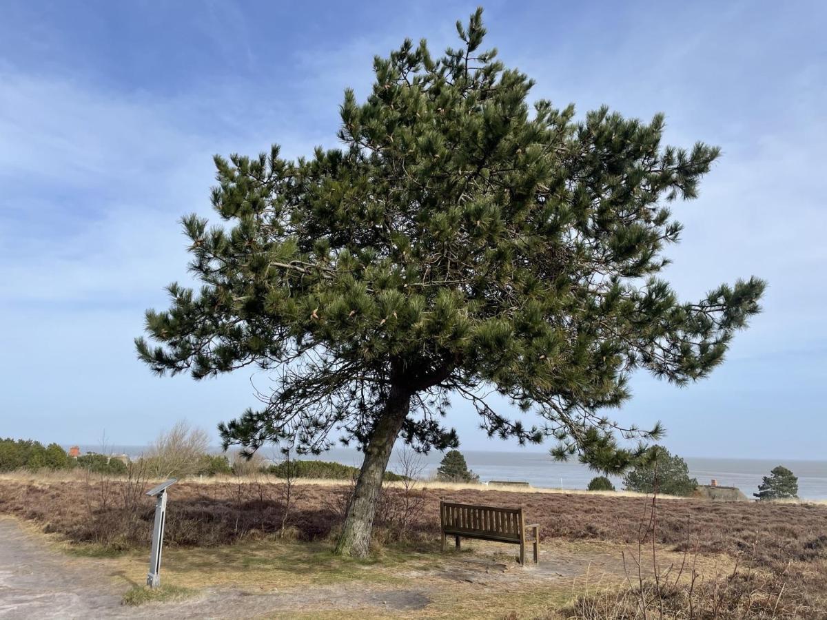 Sylter Residenz Apartment Westerland Bagian luar foto